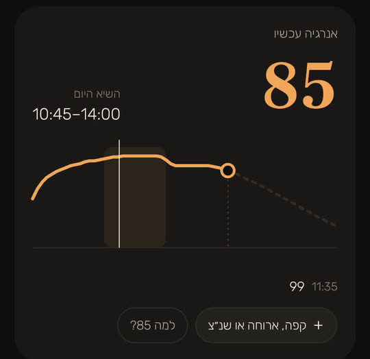מסך מהאפליקציה, עם נתונים לדוגמה: האנרגיה עכשיו 85, השיא היום בין 10:45 ל־14:00, ואצבע על העקומה בשעה 11:35 מראה 99. עד עכשיו העקומה בקו מלא, ומשם והלאה בקו מקווקו.